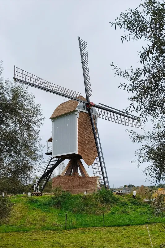 Scheldemolen, Molenmuseum, Centrum voor Molinologie