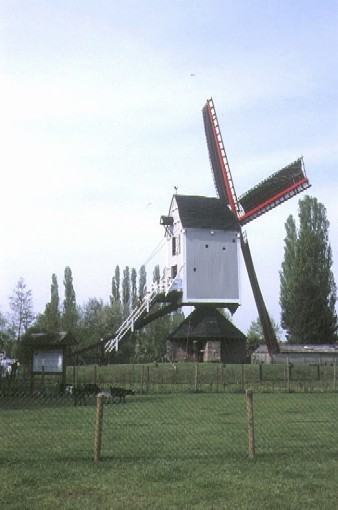 Foto van Molen van Larum, Geel, Foto: Rob Simons, Sint-Huibrechts-Lille | Database Belgische molens