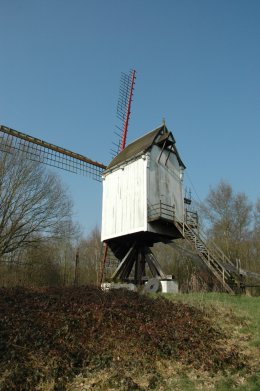 Foto van Beddermolen<br />Bedderenmolen, Tongerlo (Westerlo), Foto: Donald Vandenbulcke, Nieuwpoort | Database Belgische molens