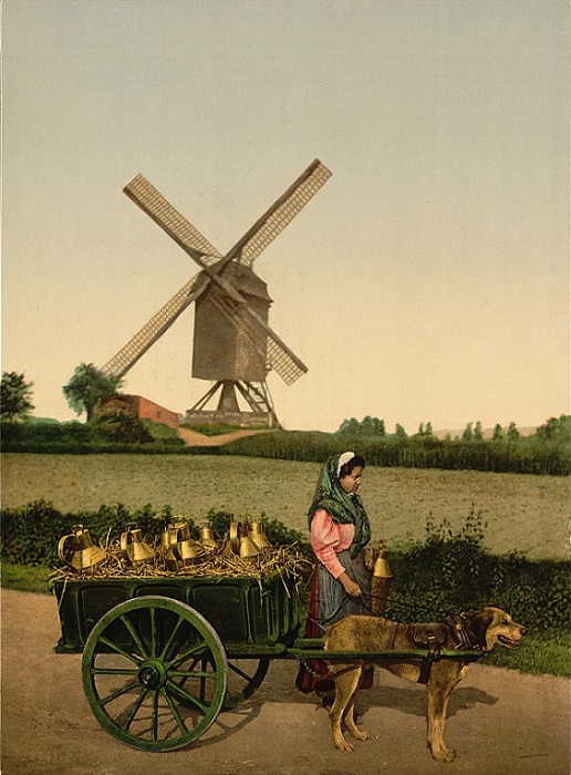 Foto van <p>Molen van Het Rad<br />Moulin de La Roue</p>, Anderlecht, Prentkaart, edit. E. Grégoire, Laitière bruxelloise, einde 19de eeuw (coll. Ton Meesters, Breda) | Database Belgische molens