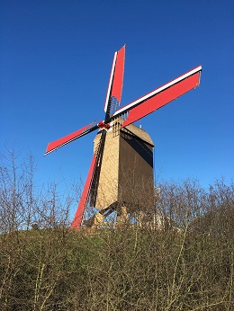 Foto van Moulin brûlé - Verbrande Molen, Woluwé-Saint-Lambert - Sint-Lambrechts-Woluwe, Foto:  Dirk Peusens, 19.01.2016 | Database Belgische molens