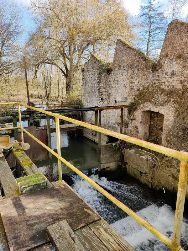 Moulin Barabin, Filature de la Hantes