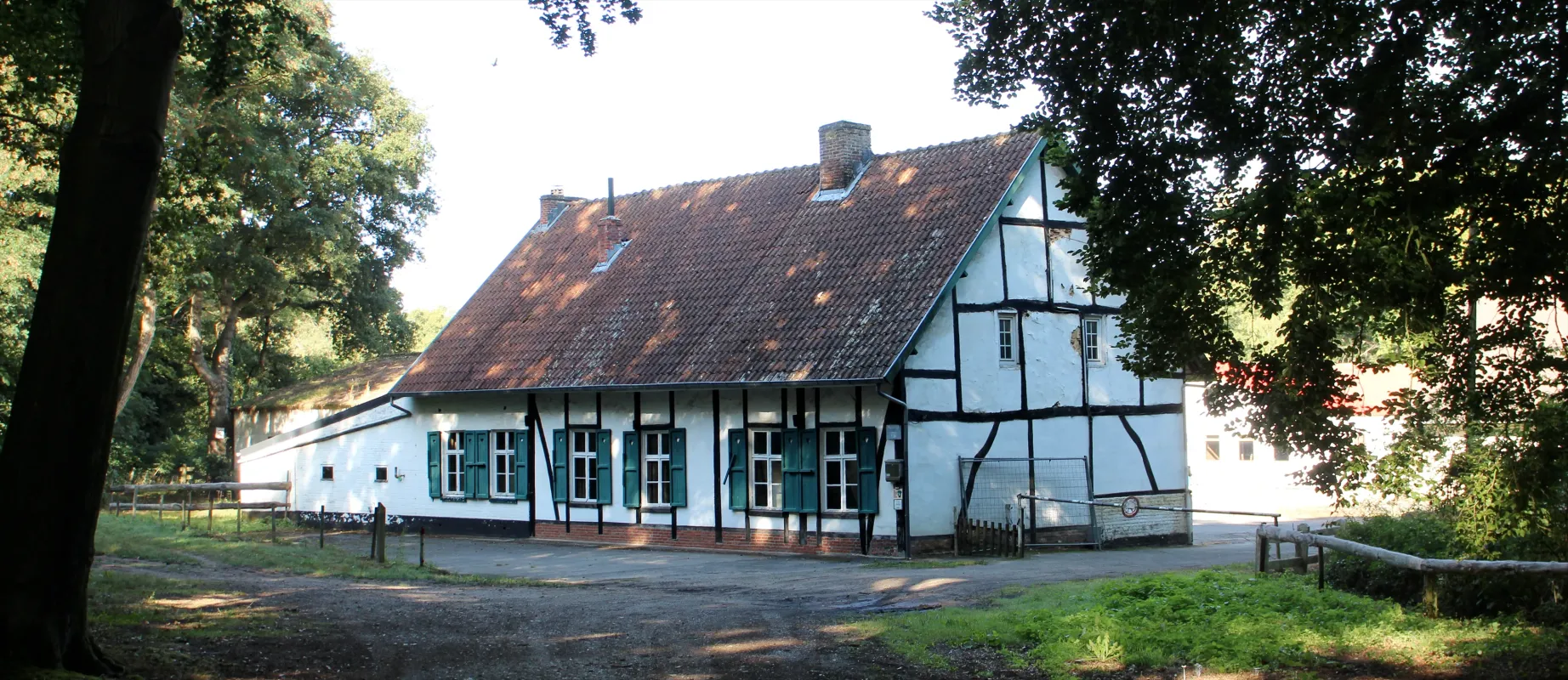 Terlaemenmolen, De Paddock