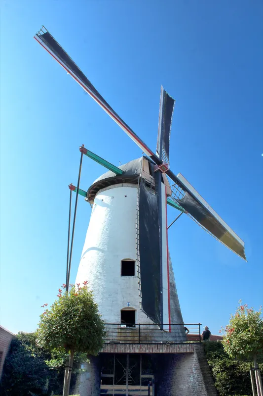 De Stormvogel, Al Mulino