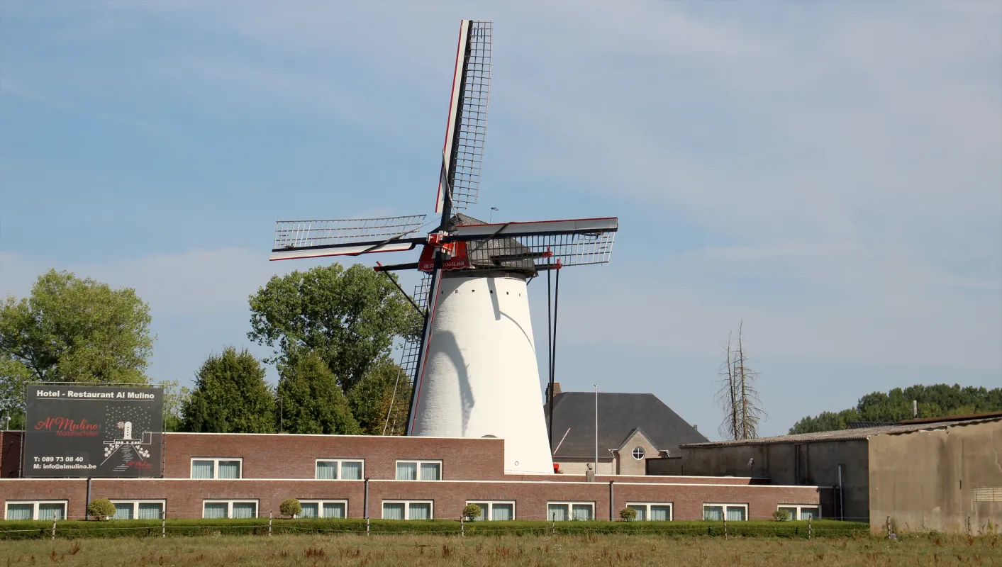 De Stormvogel, Al Mulino