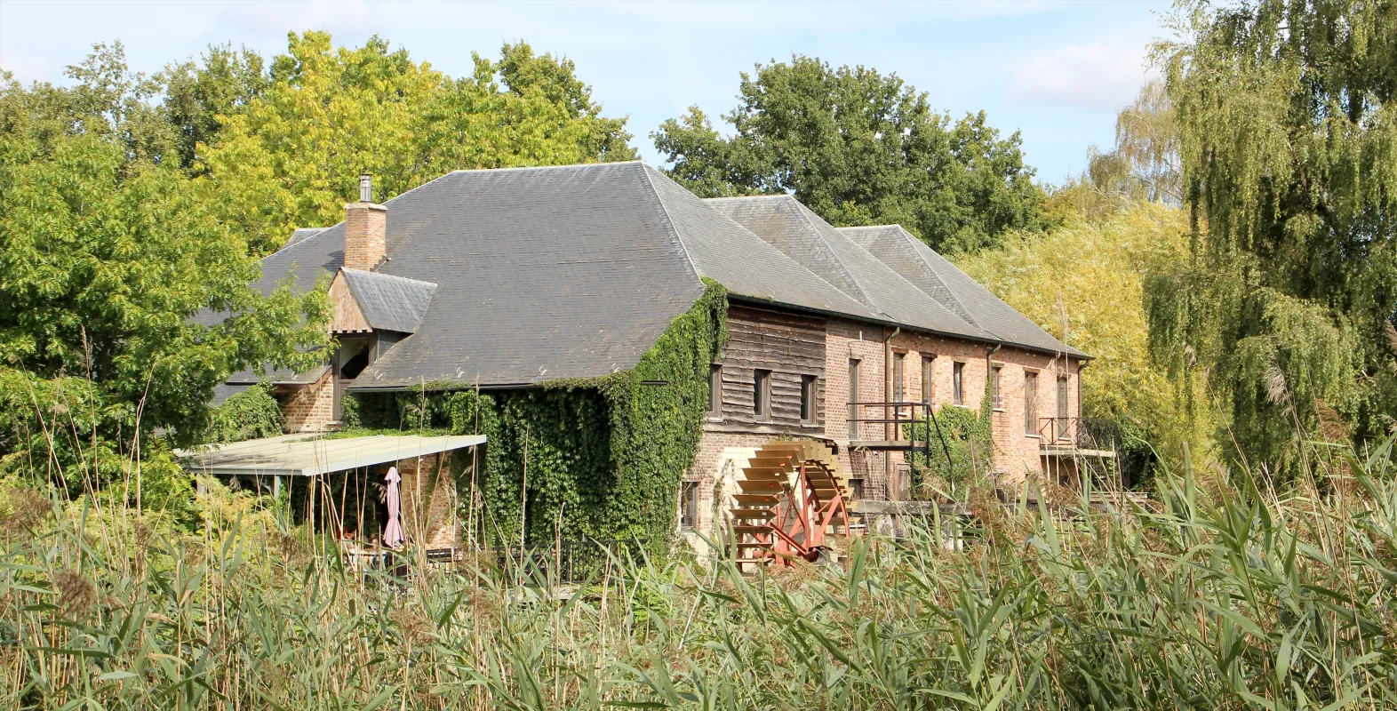 Dorpsmolen, Robbenmolen, Vlasmolen, Taverne Myosotis, Restaurant Aan het Water