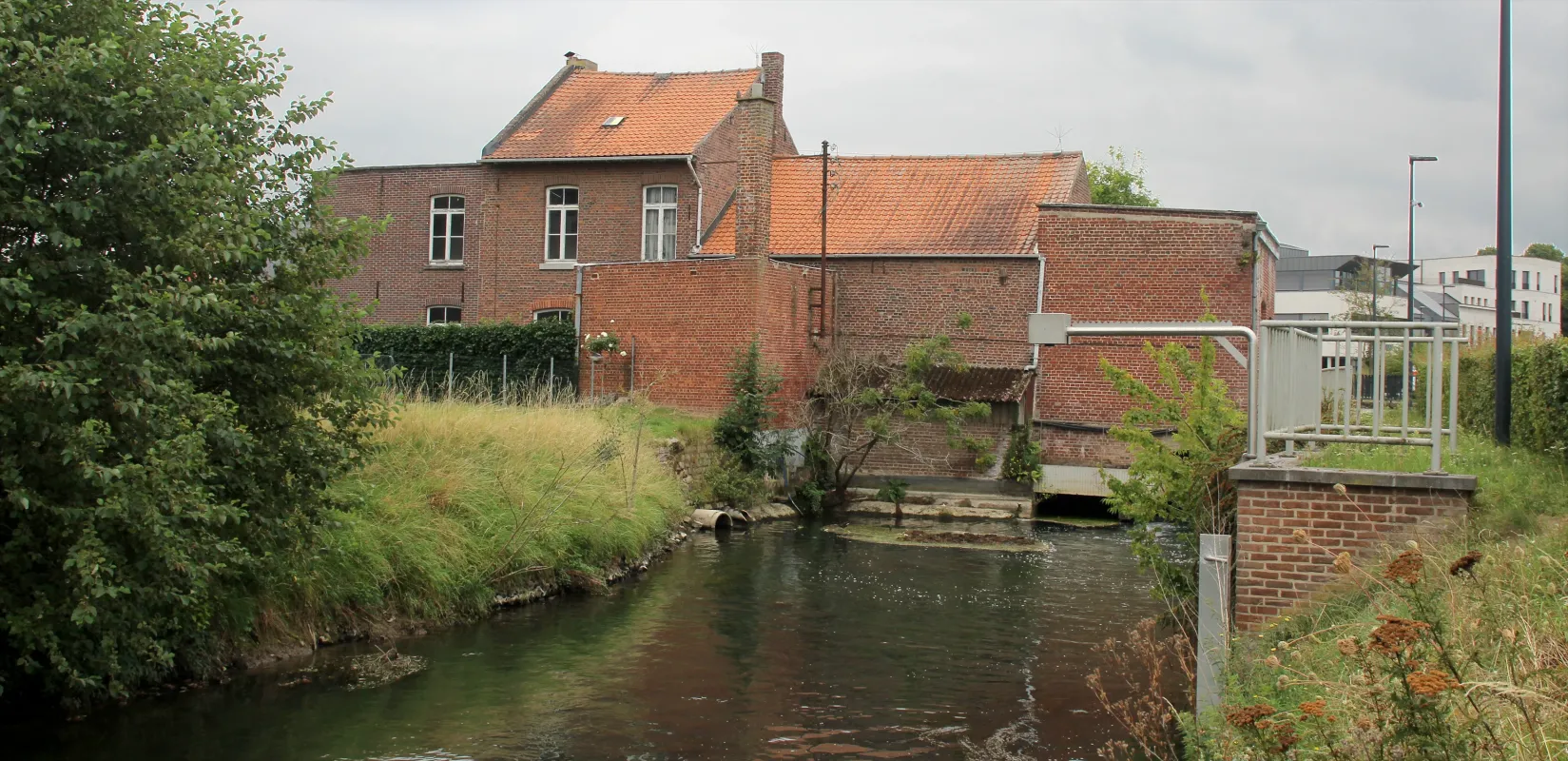 Motmolen