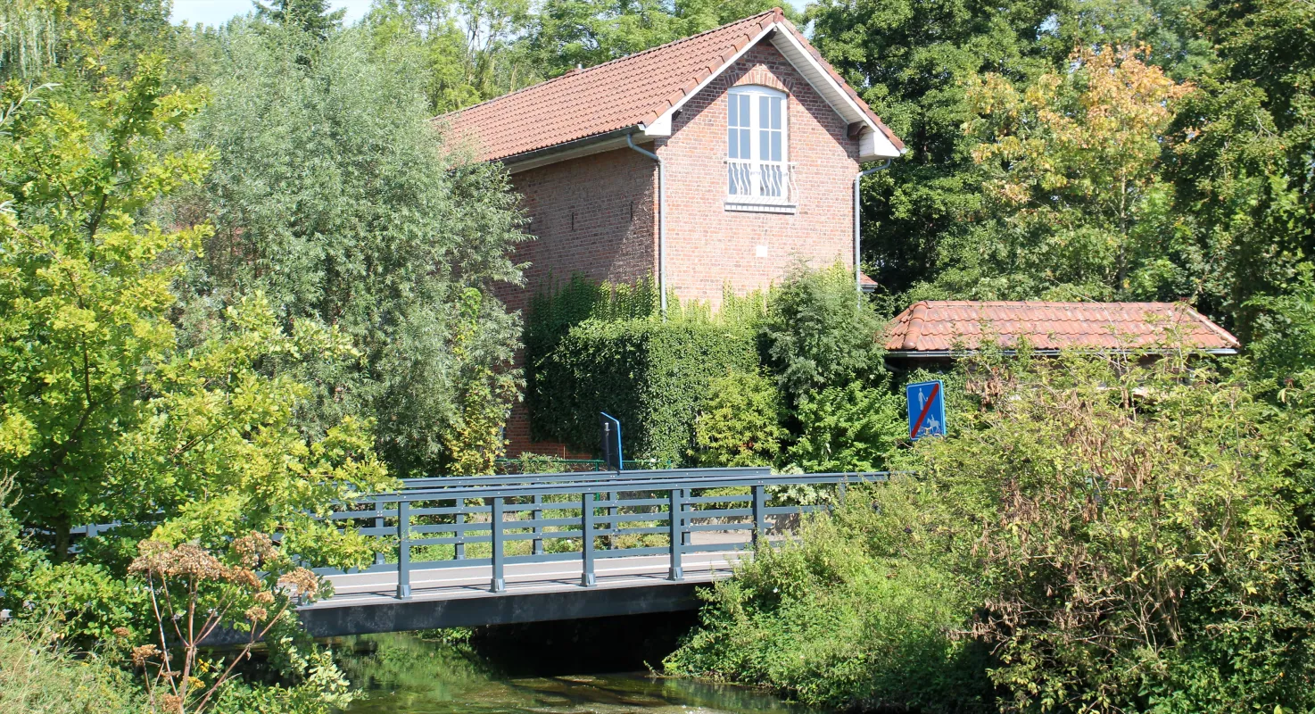 Daalmolen, Schaliemolen