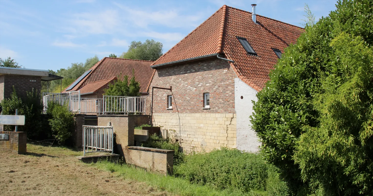 Molen van Halmaal, Maasrodemolen