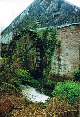 Foto van Althoeseltse molen<br />Alt-Hoeseltse molen, Hoeselt, Foto: Robert Van Ryckeghem  | Database Belgische molens