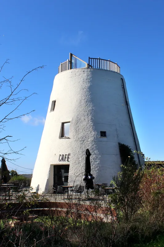 Hotondmolen, Molen De Hotond