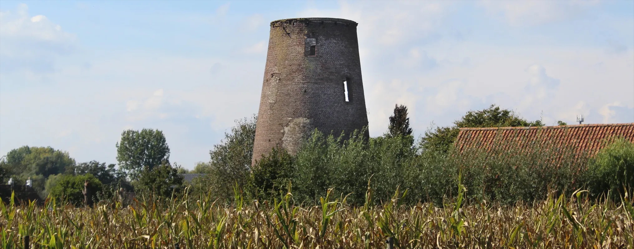 Baelkes molen, Steyaertsmolen
