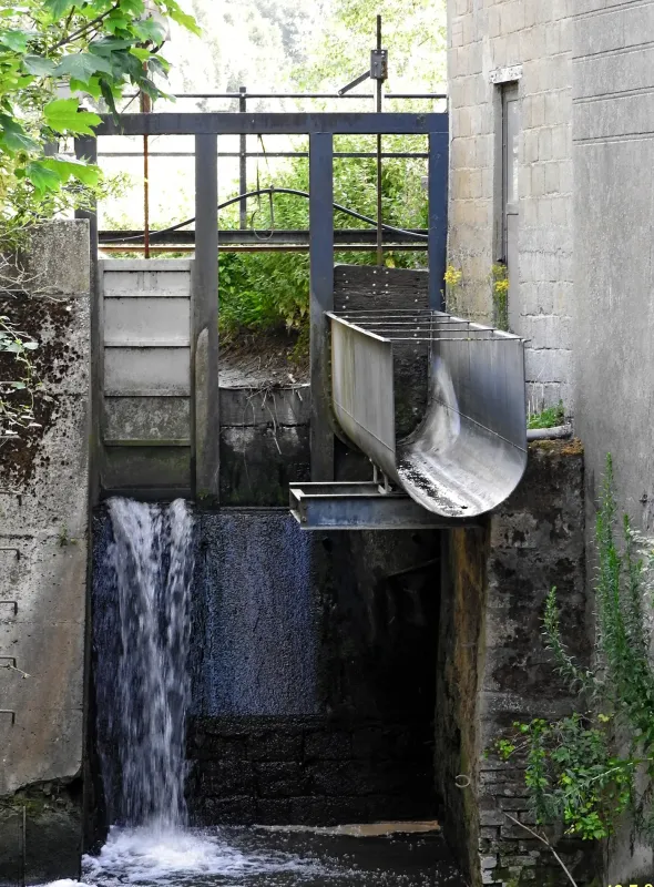 Watermolen van Bavegem