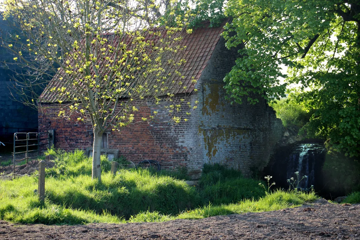 Molen ten Hove
