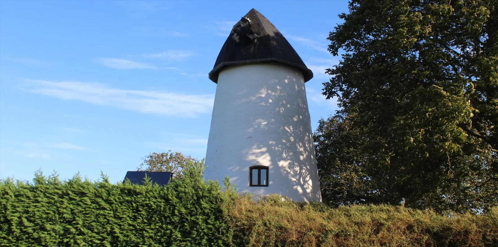 Hoogkoutermolen, De Reus van Horebeke