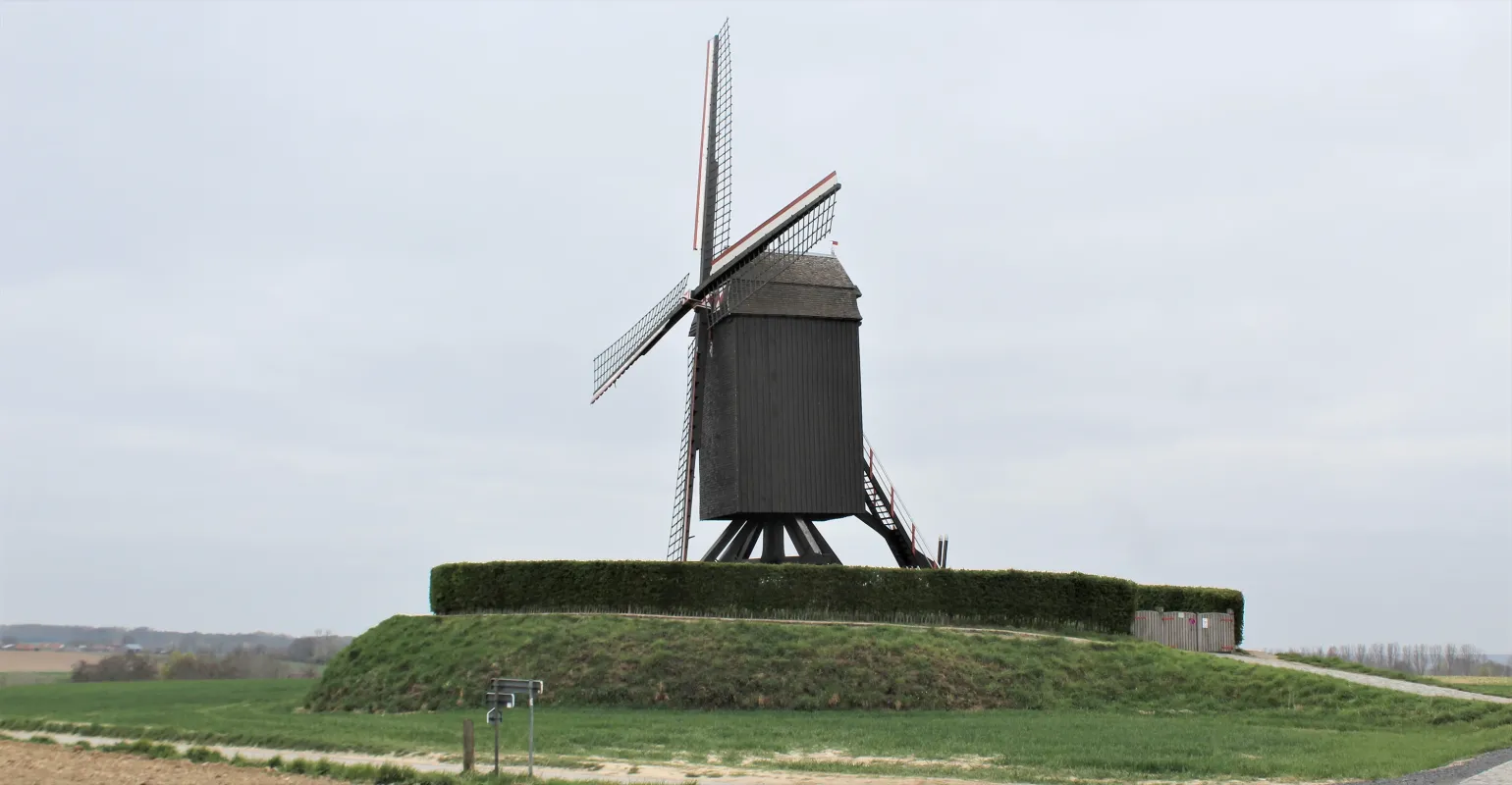 Molen van Wannegem, Grote Molen, Houtavemolen, Schietsjampettermolen