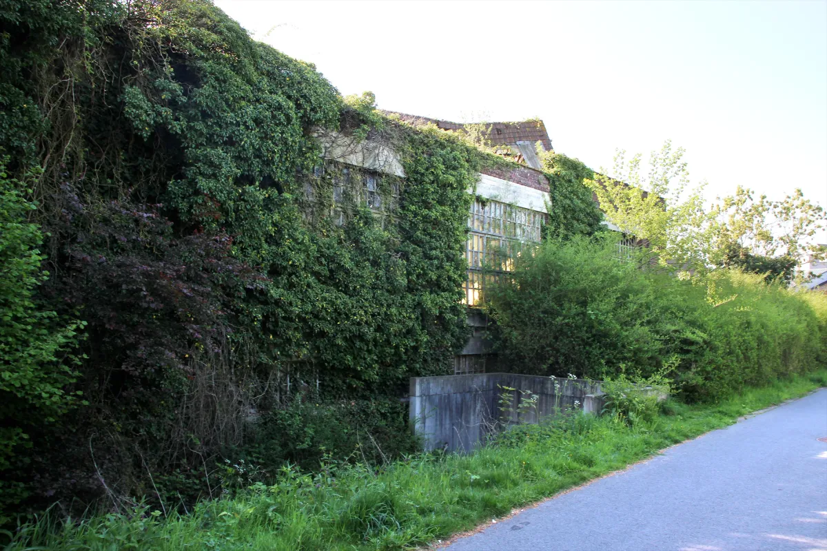 Bruulmolen, Breulmolen