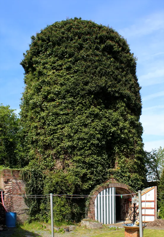 Weiveldmolen, Molen De Decker