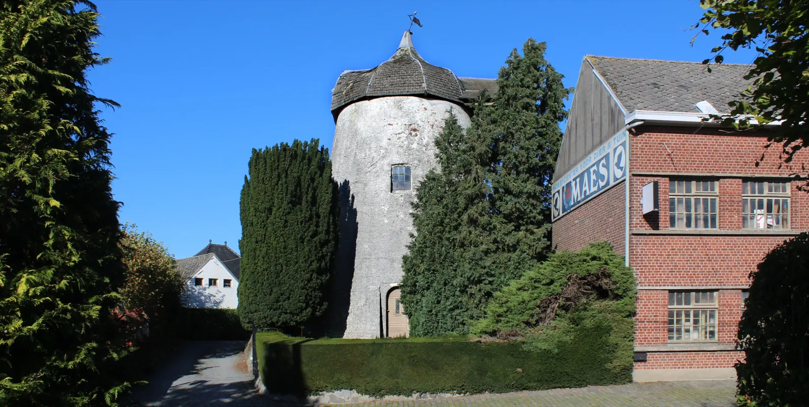 Ter Kruissensmolen, Molen Maes