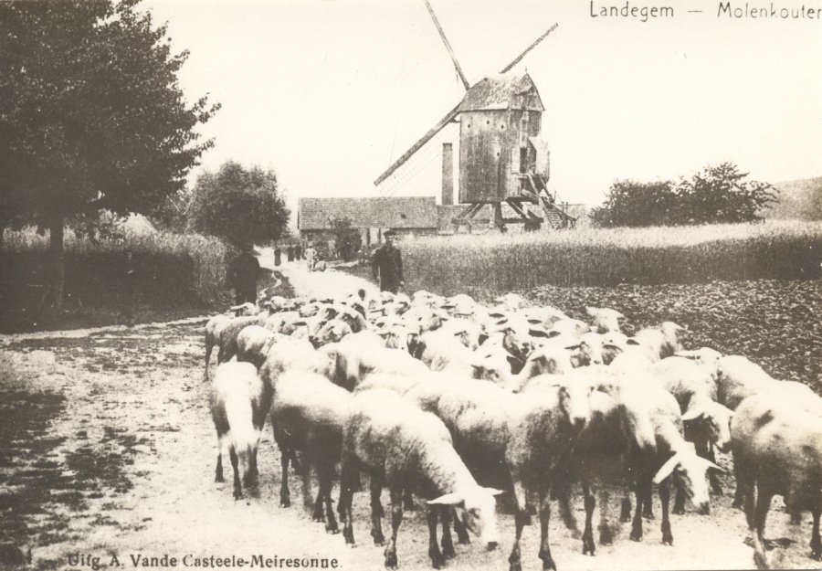 Bekijk molen Heirenthoekmolen<br />Herenthoekmolen