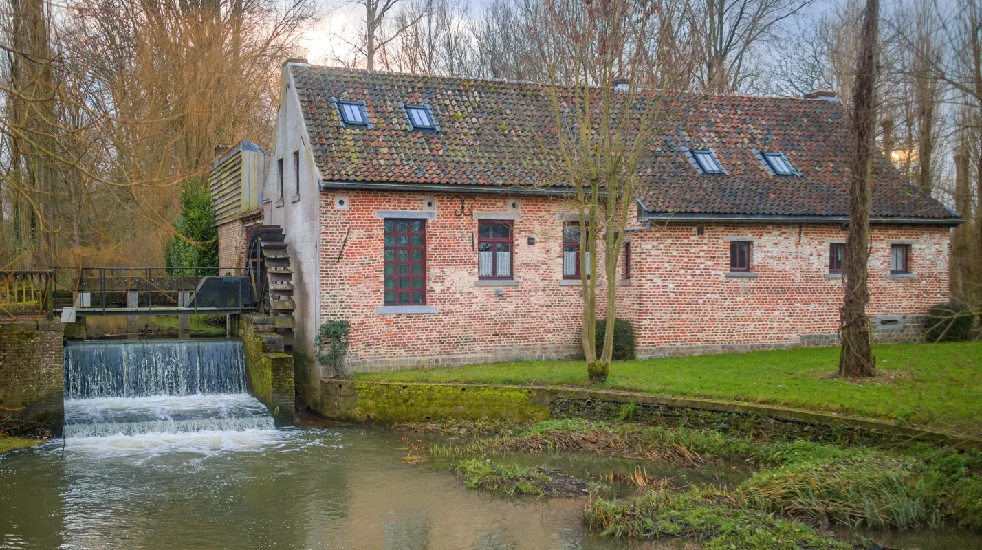 Hernemolen, Sint-Waldetrudismolen, Molen van Looiken, Rendriesmolen