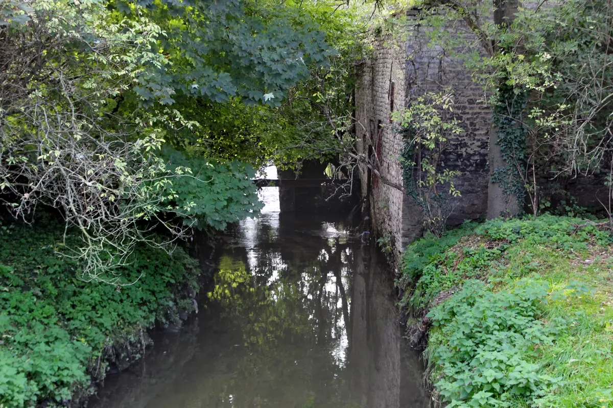 Duivenmolen, Taufmolen, Molen van Nolekens