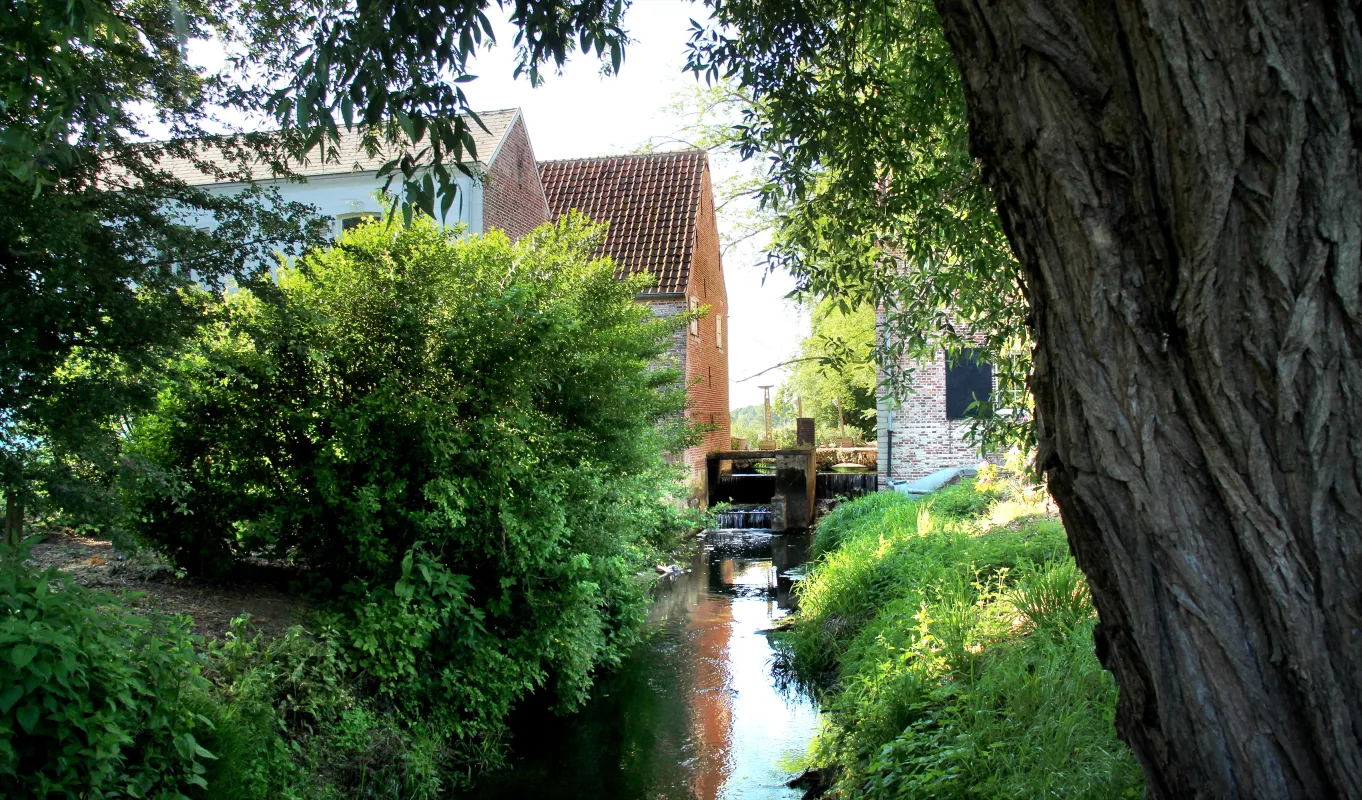 Koevoetmolen