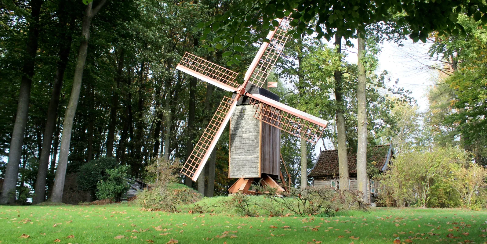 Molentje van Delboo