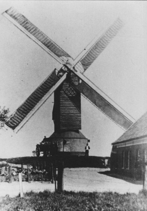 Paandermolen, Molen Buyse