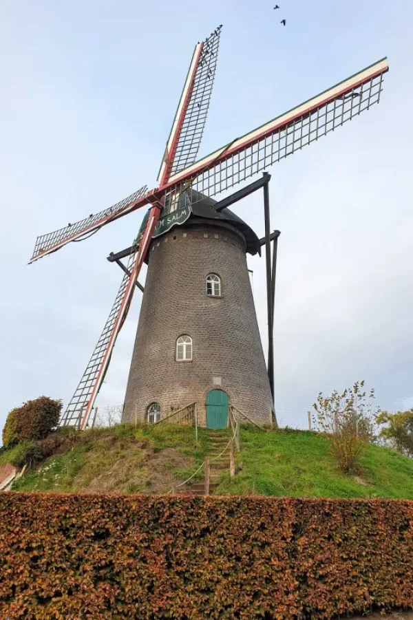 Salm-Salm Molen