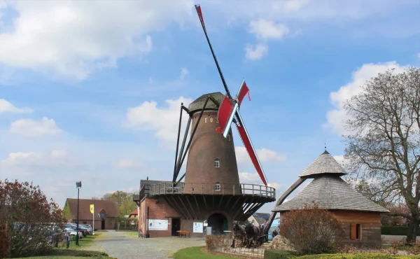 Arbeid Adelt Molen Verheyen