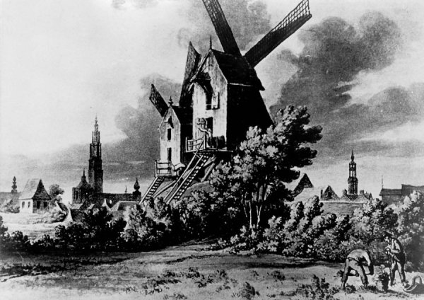 De Oranjeboom De Oraniënboom