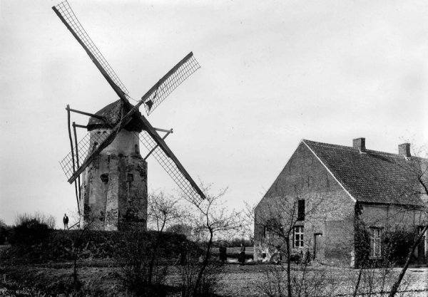 Berthoutmolen Hoezemolen Stenen Molen Hallaarmolen Molen van Halderhofken Hallaarhofmolen