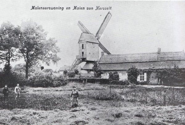 Oude Molen Molenbergmolen Voskensmolen