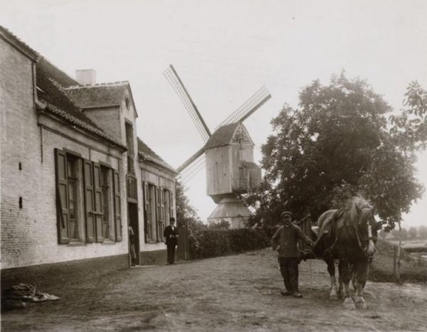 Gasthuismolen Molen van Wegge Molen van Nees