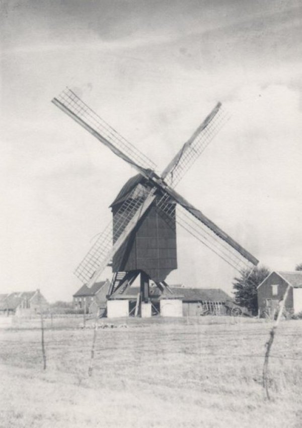 Koekoekmolen Molen Van Noten Het Meuleken