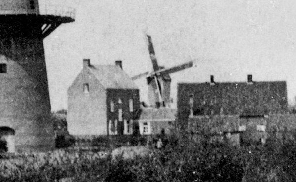 Molen van Rodenborg Molen Van de Mierop