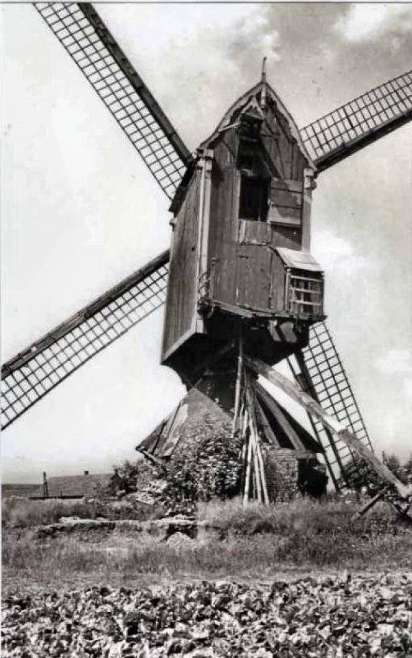 Sint-Lenaartsmolen Molen van het Heiken Molen van het Molenheike Nieuwe Molen Molen van Meeussen Molen van Biteut Sint-Leonardsmolen