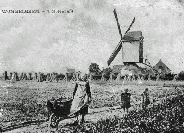 Molen Goris