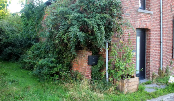 Moulin à chien