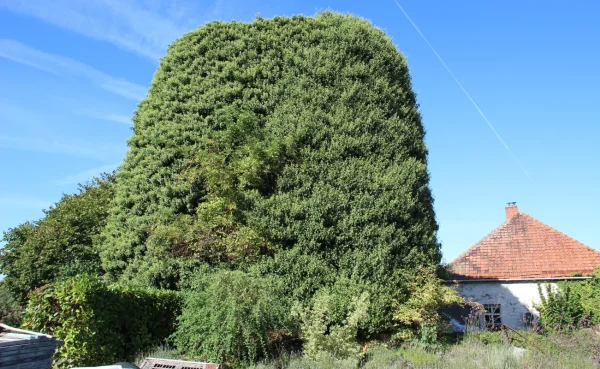 Moulin Robertau