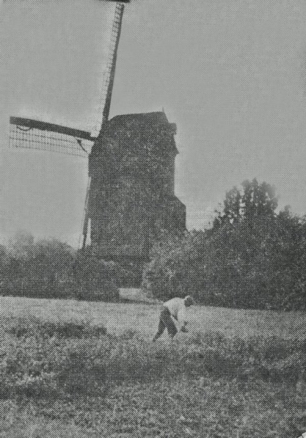 Moulin de Verquesies Moulin Xavier