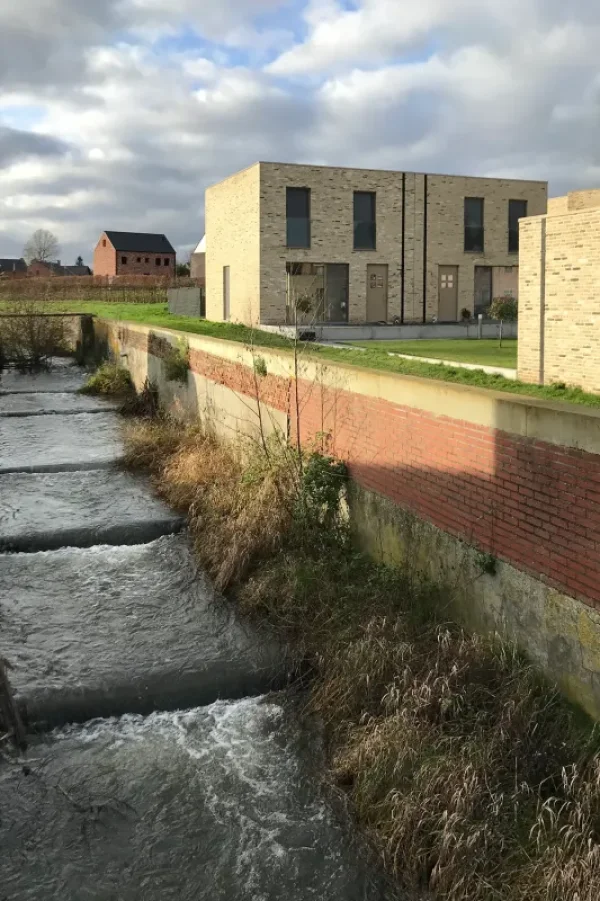 Hammolen Molen van Ham