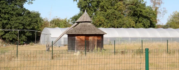 Rosmolen van De Hoev