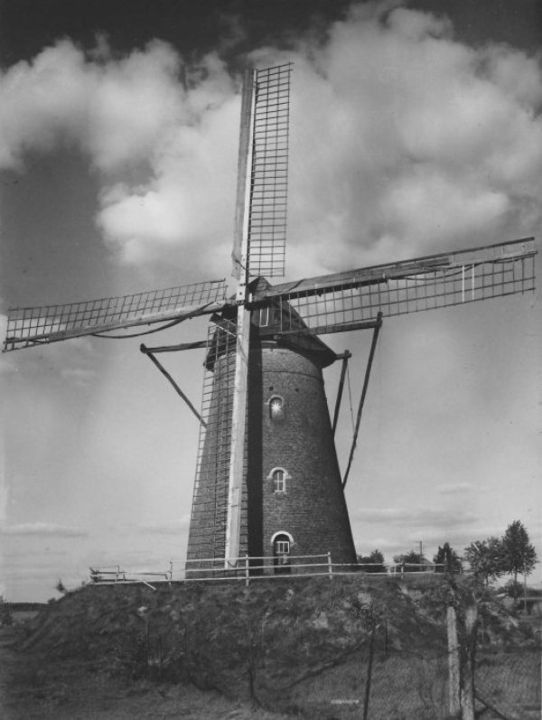 De Windmolen Molen Ceyssens