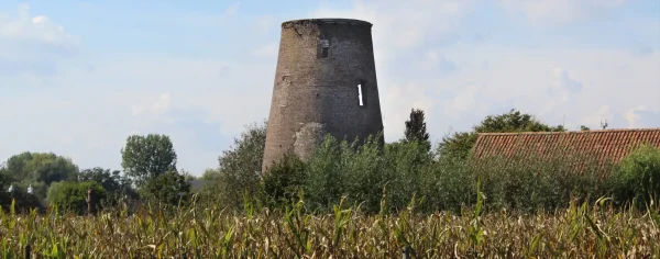 Baelkes molen Steyaertsmolen
