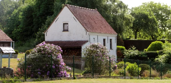 Tjammelsmolen Tjammelskot