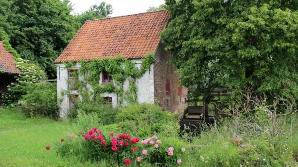 Pedes Molentje Bistmolen