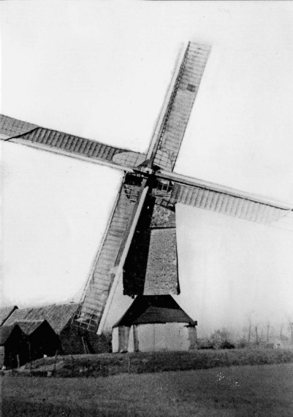 Rekkelingemolen Bachtemolen Molen Van Damme