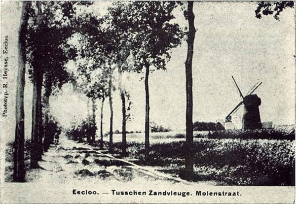 Zandvleugemolen Molen Van Waesberghe Molen De Poorter